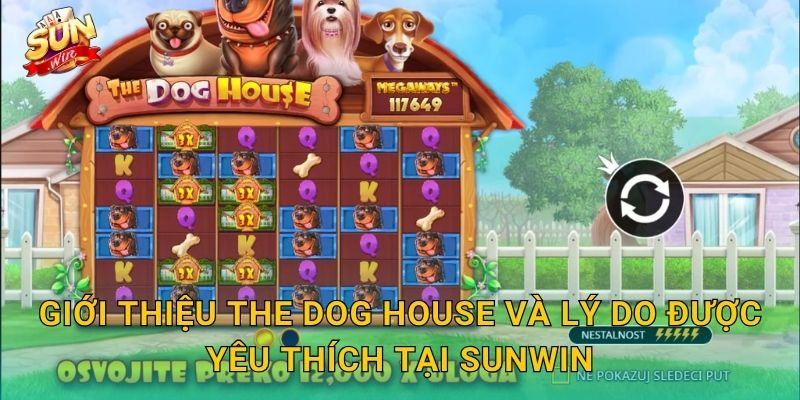 Giới Thiệu The Dog House Và Lý Do Được Yêu Thích Tại Sunwin